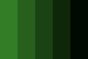 paleta de cores verde 3